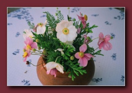 Kliknite za pove�avo slike